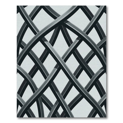 Minimalist Monochrome Intersecting Curved Geometric Lines Rug