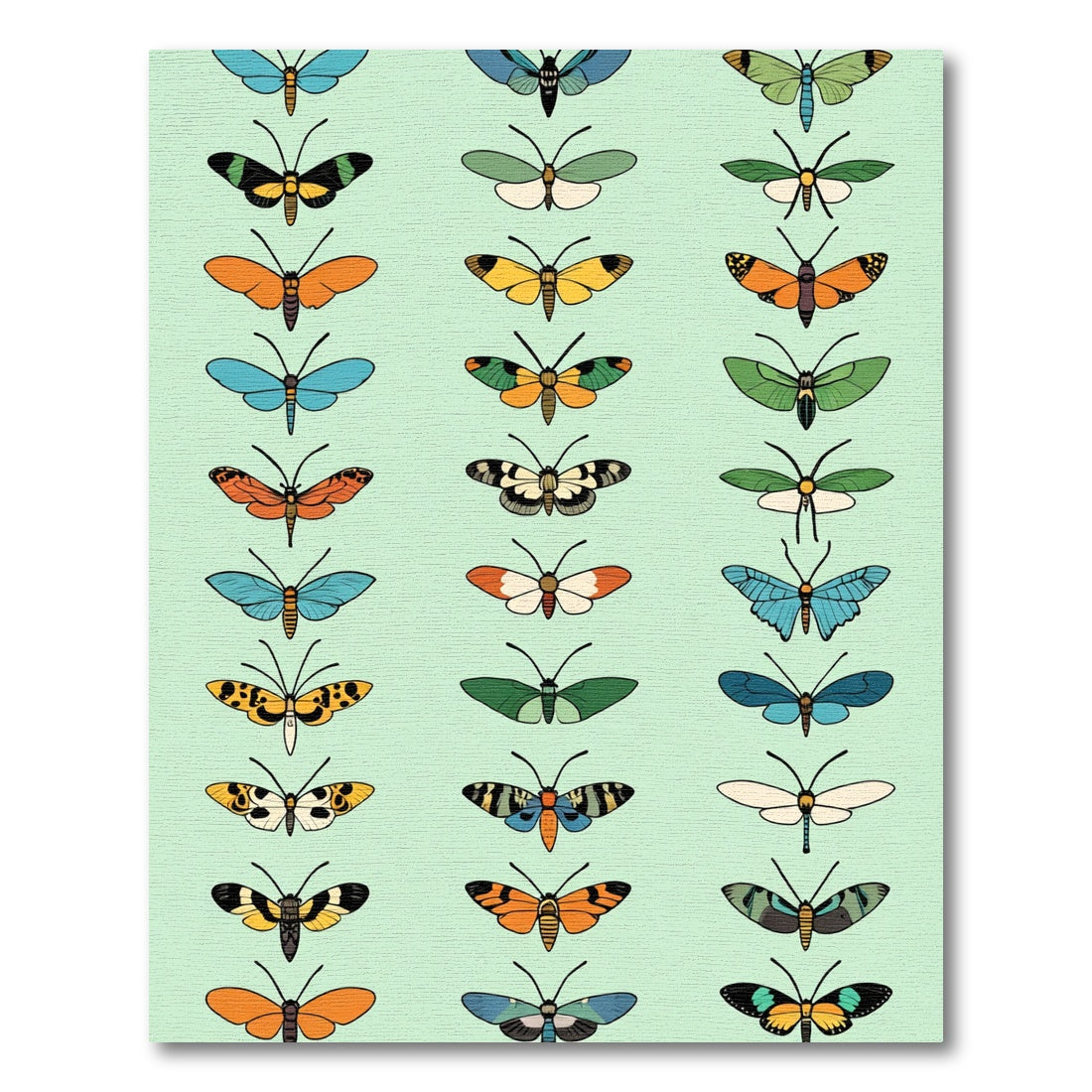 Vibrant Blue Yellow Orange Butterfly Collection Rug