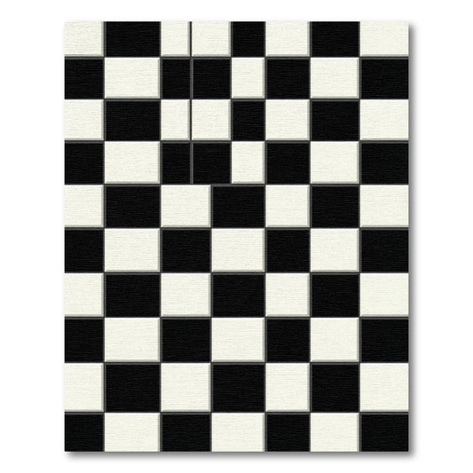 Modern Monochrome Black and White Checkerboard Rug