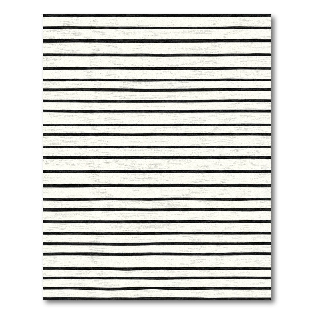 Modern Black White Linear Sweep Rug