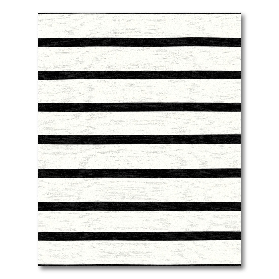 Minimalist Black White Linear Composition Rug