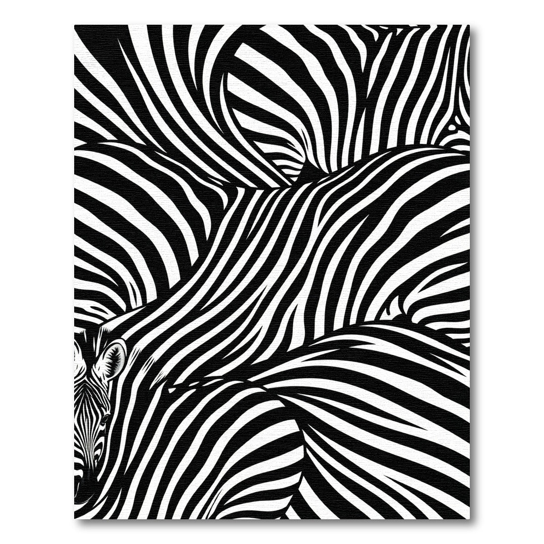 Bold Monochrome Layered Zebra Stripe Rug