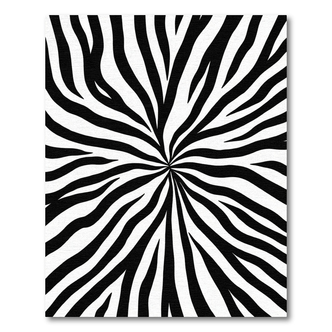 Black White Burst Zebra Stripe Rug